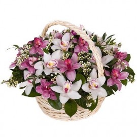 Cos orhidee cymbidium