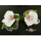 Corsaj pe margele cu orhidee phalaenopsis