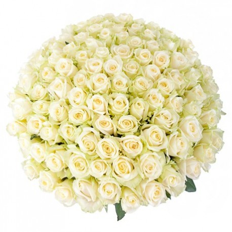 Buchet 101 trandafiri albi