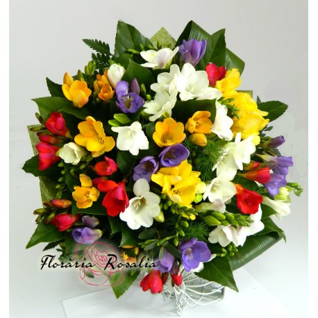 Buchet  27 frezii