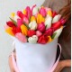 Cutie cu 51 lalele multicolore