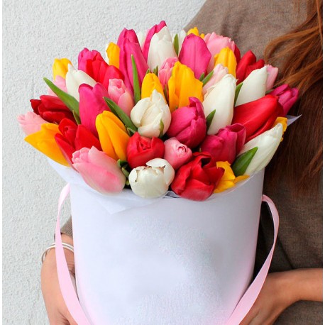 Cutie cu 51 lalele multicolore