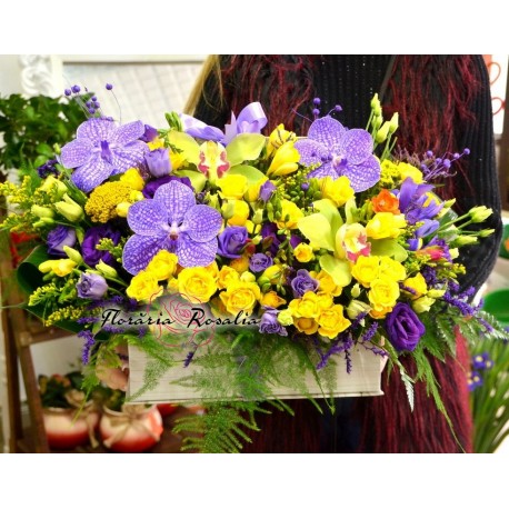 Cutie carte color