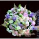 Buchet mixr cu bujori