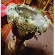Cristelnita cu gypsophila