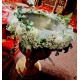 Cristelnita cu gypsophila
