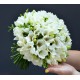 Buchet frezii multicolore