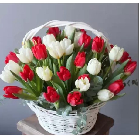 Cos lalele multicolore