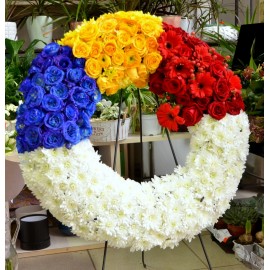 Croana rotunda -Tricolor