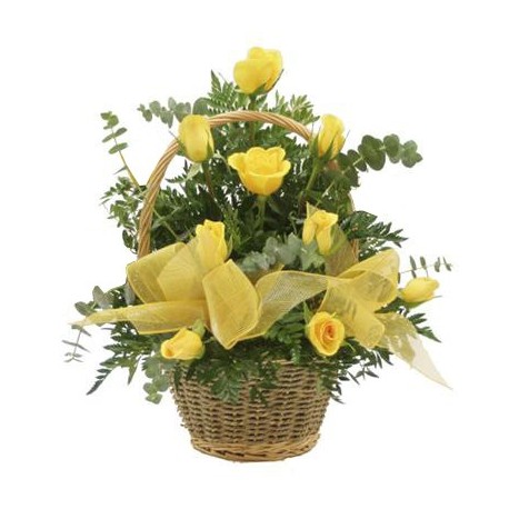 Cos 9 trandafiri galbeni