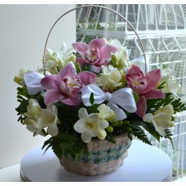 Cos orhidee si frezii