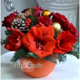 Aranjament Craciun cu amaryllis