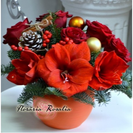 Aranjament Craciun cu amaryllis