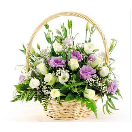 Cos lisianthus