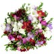 Buchet 39 frezii multicolore